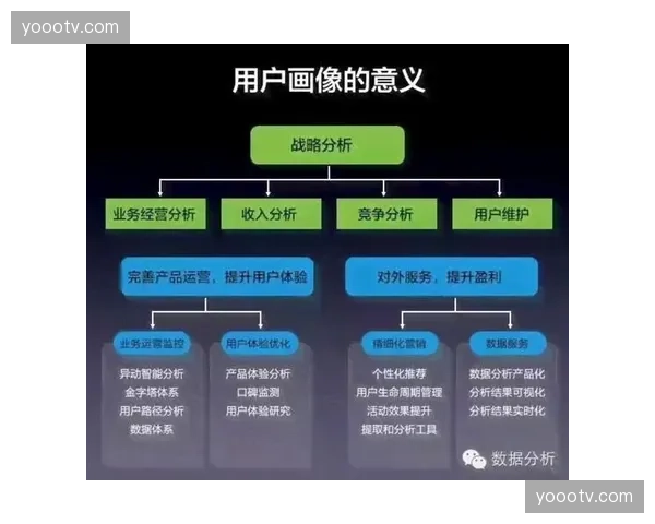 本阶段跨品牌联合营销增多 实现了用户画像的深度重叠与转化